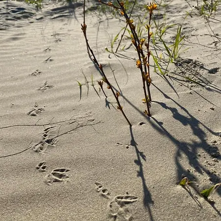 アパート Coxy Penthouse