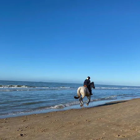 Coxy Penthouse * コクセッド