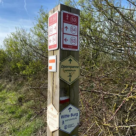 Daire Coxy Penthouse Koksijde