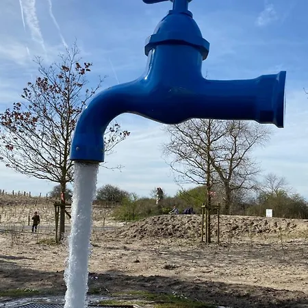 Coxy Penthouse شقة