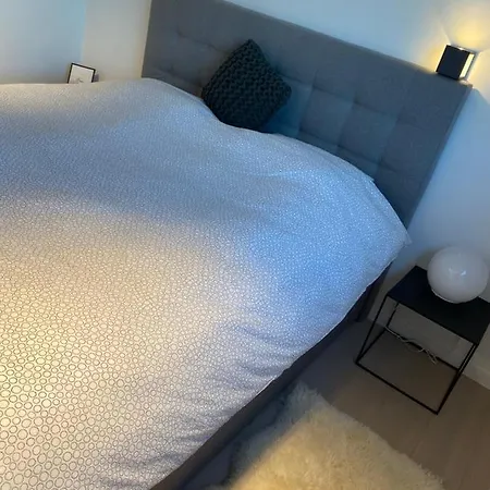 Daire Coxy Penthouse