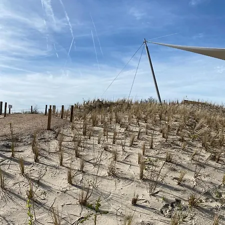 Coxy Penthouse Daire *