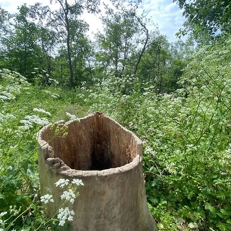 Coxy Penthouse شقة *