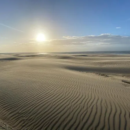 Coxy Penthouse コクセッド