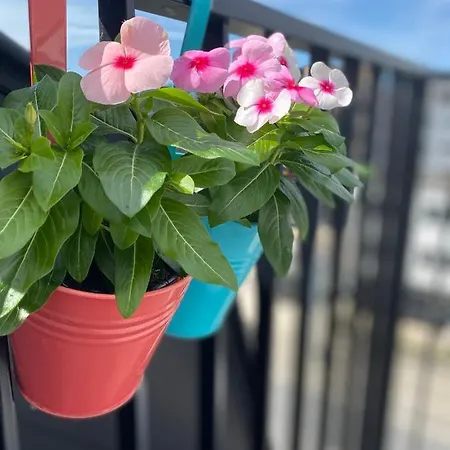 شقة Coxy Penthouse *