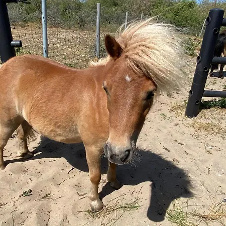 アパート Coxy Penthouse コクセッド