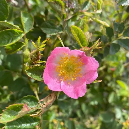 アパート Coxy Penthouse *