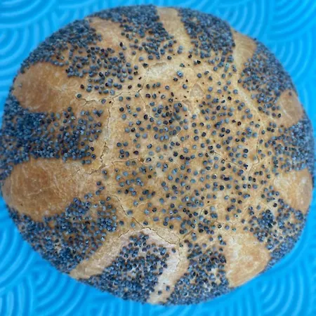 アパート Coxy Penthouse