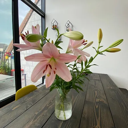 Daire Coxy Penthouse *