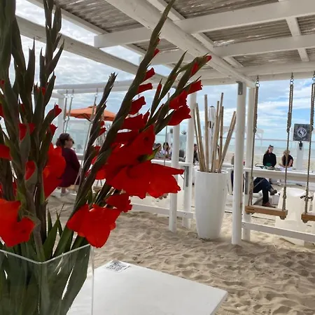 Coxy Penthouse كوكسيجدي