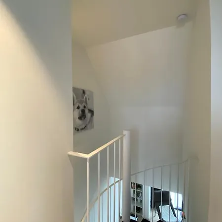 Coxy Penthouse Daire