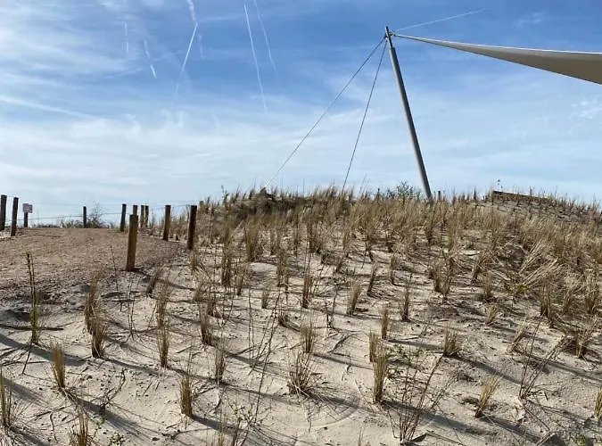 Coxy Penthouse Διαμέρισμα *