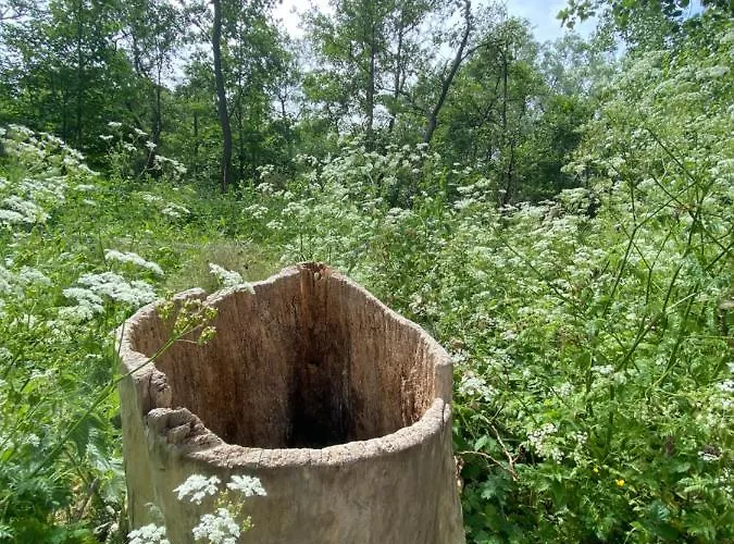 Coxy Penthouse Apartment *