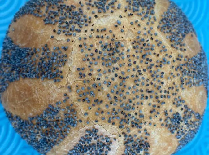 Διαμέρισμα Coxy Penthouse