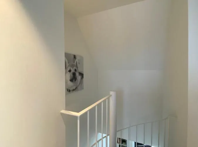 Coxy Penthouse Apartment